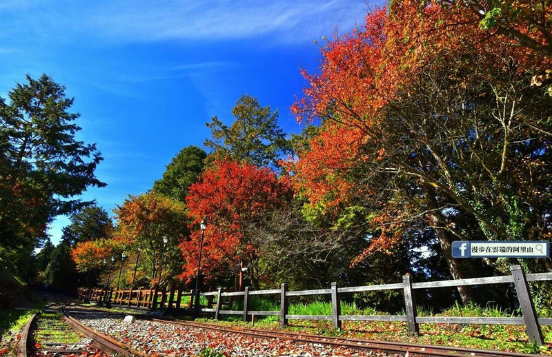 Alishan