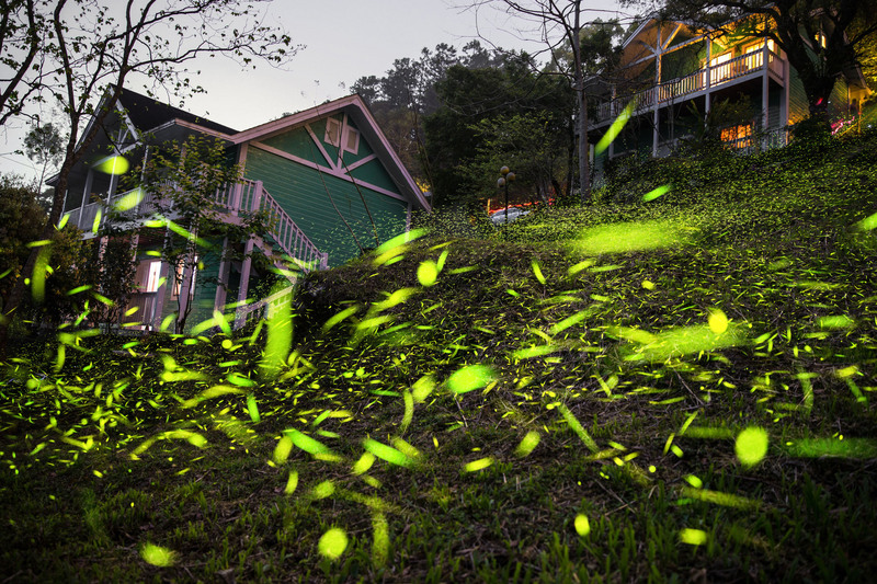 Wisata Chiayi