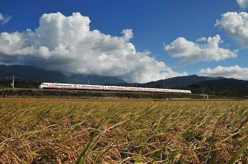 Festival Qingming