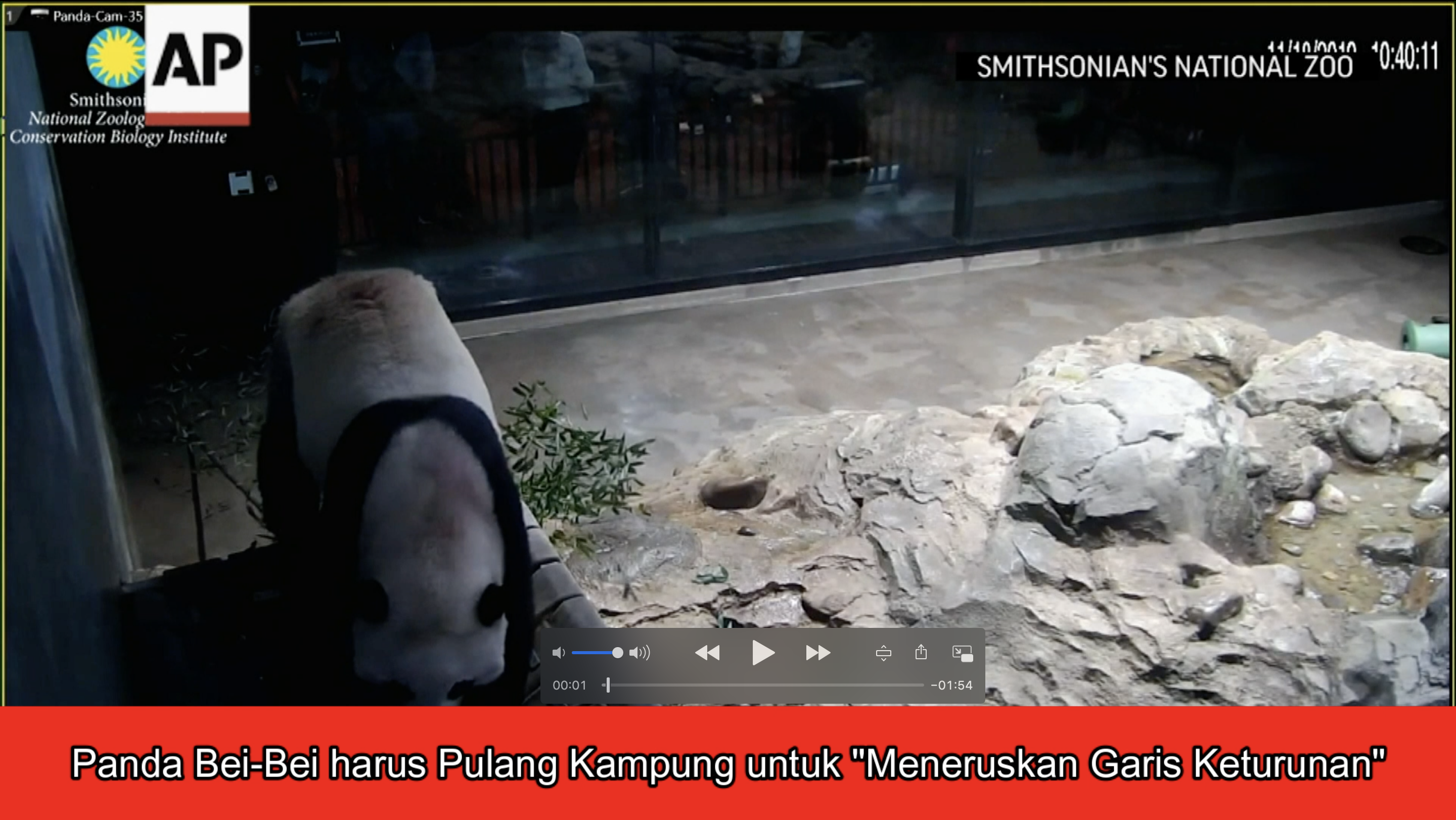 Panda Bei-Bei harus Pulang Kampung...