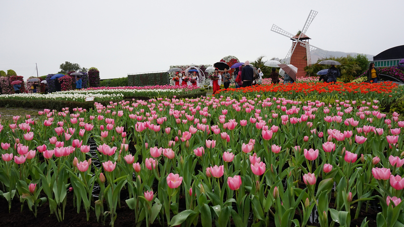 Chung-she Flower Garden