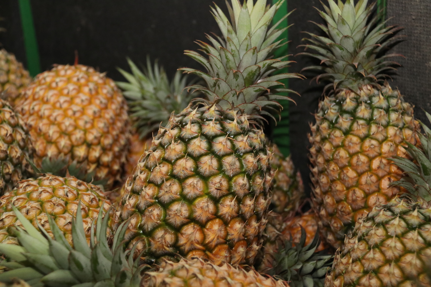 Nanas