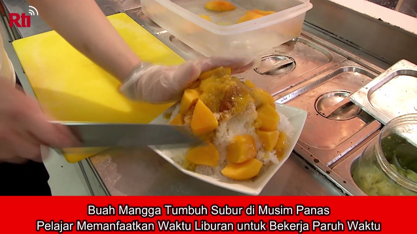Buah Mangga Tumbuh Subur di Musim Panas, Pelajar Memanfaatkan...