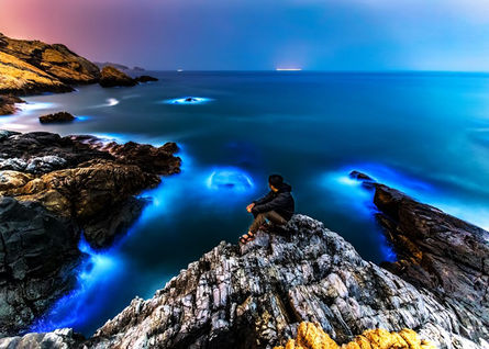 Taiwan