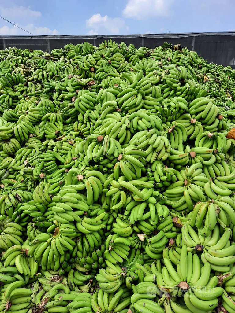 Pisang