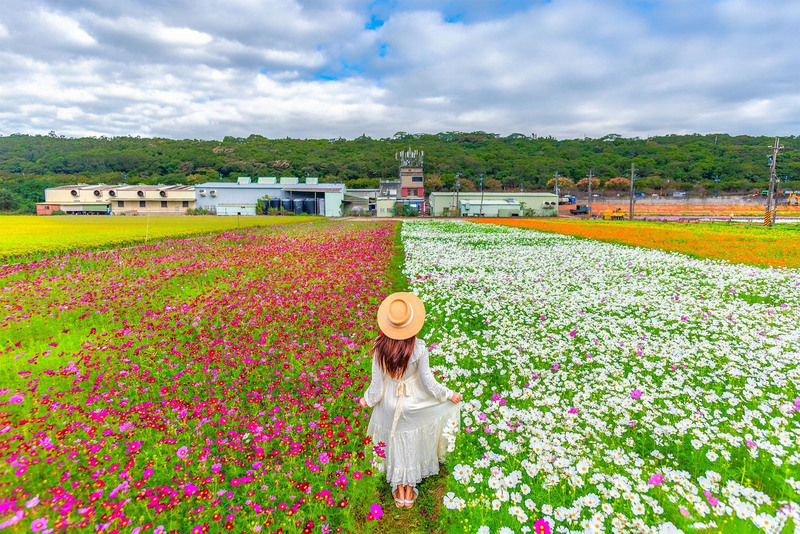 Taoyuan 2020 Flower Festival