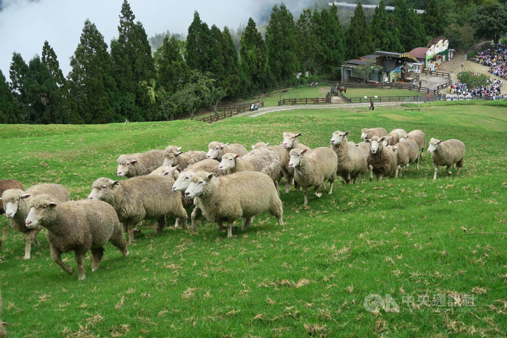 Taiwan