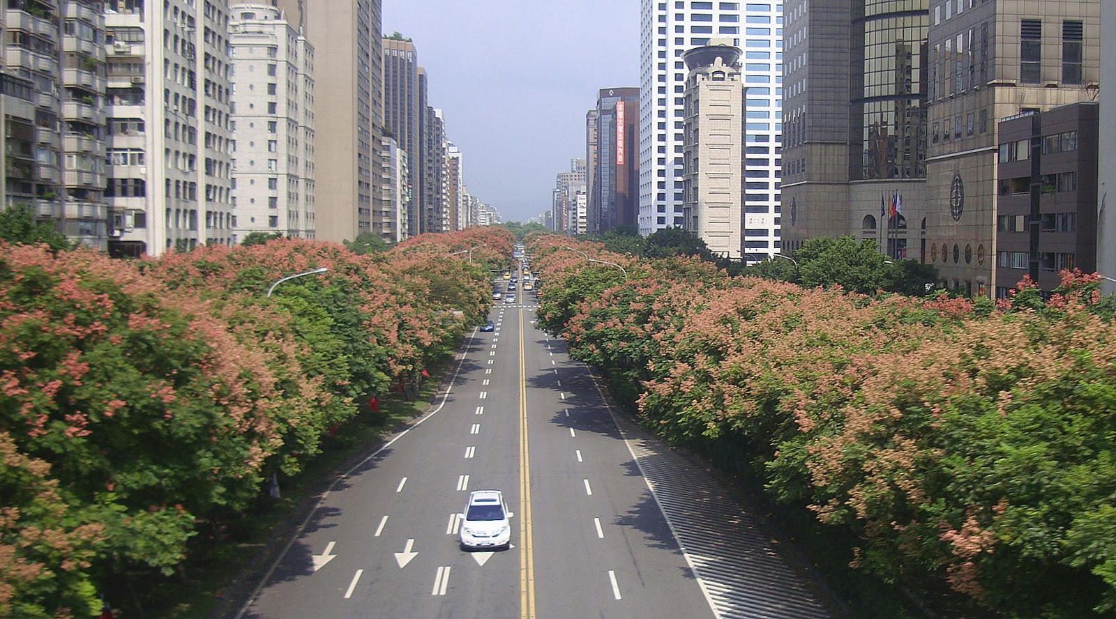 Cuaca