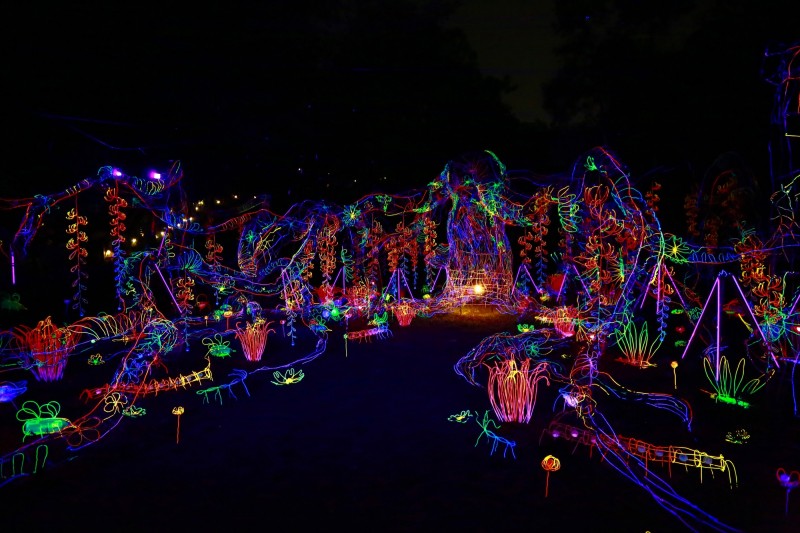 Longci Light Festival