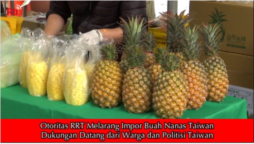 Otoritas RRT Melarang Impor Buah Nanas Taiwan，Dukungan Datang dari Warga dan Politisi Taiwan