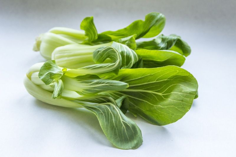 Sayur-Mayur