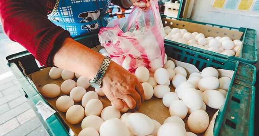 Telur Ayam