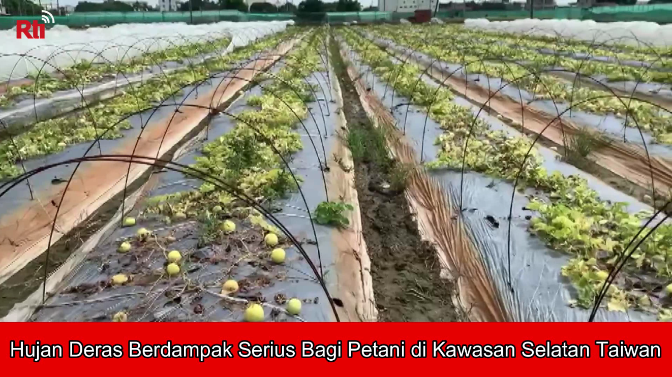 Hujan Deras Berdampak Serius Bagi Petani di Kawasan Selatan Taiwan