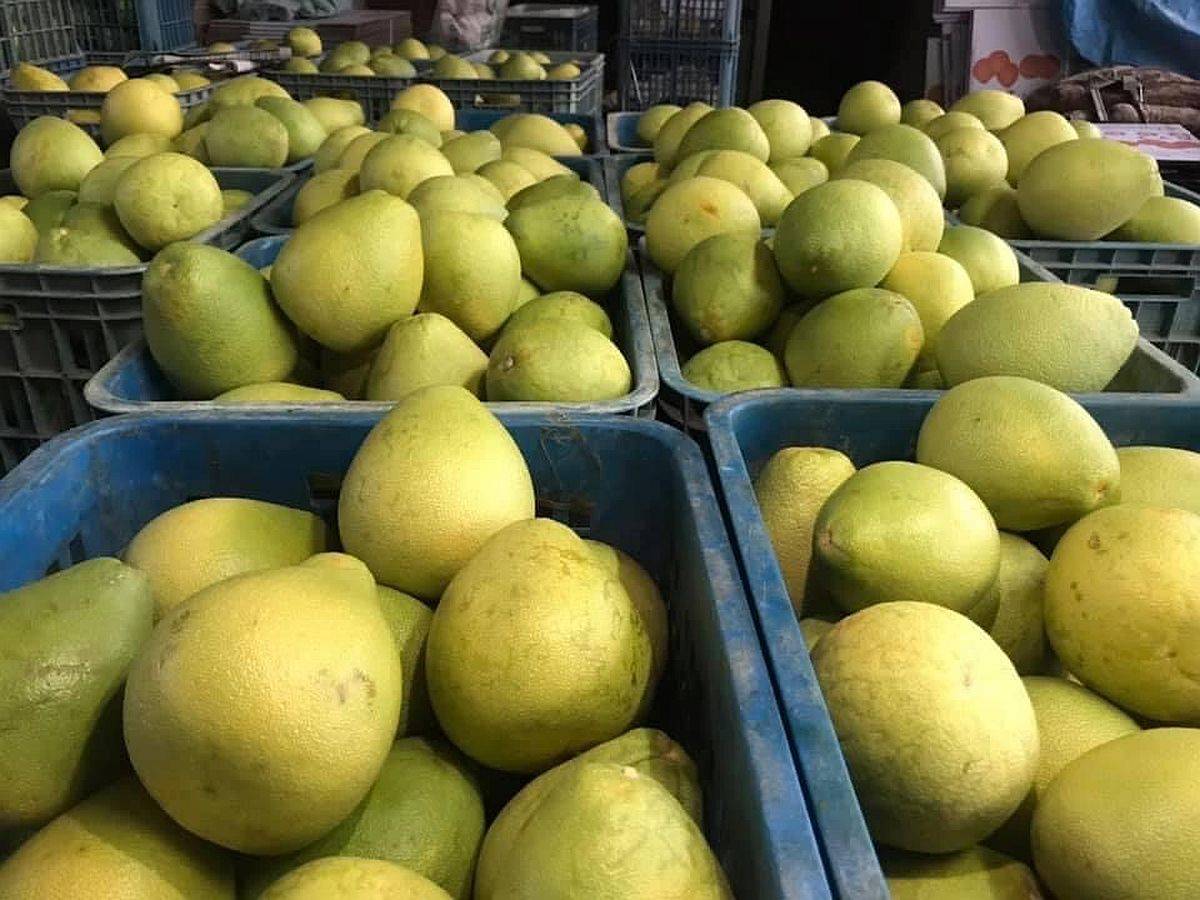 Pomelo