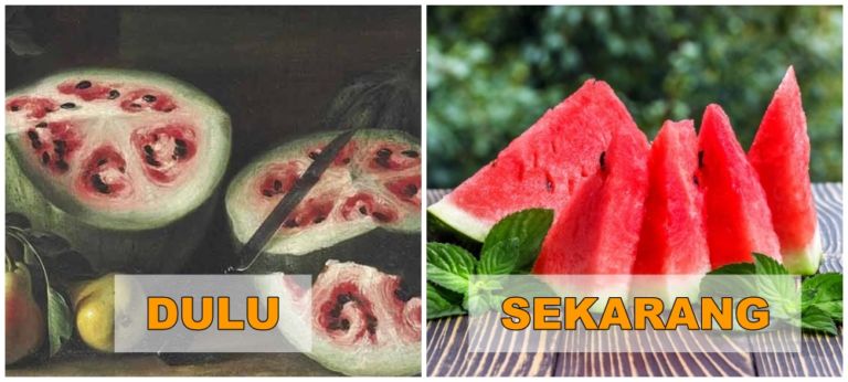 Sayur-Sayuran & Buah-Buahan Dulunya Jelek-Jelek?