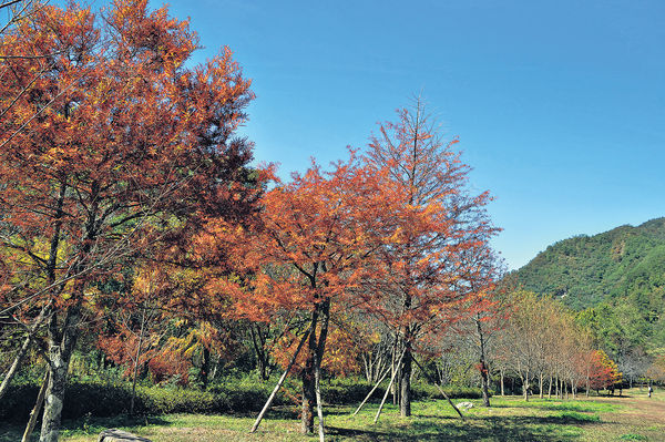 Cuaca