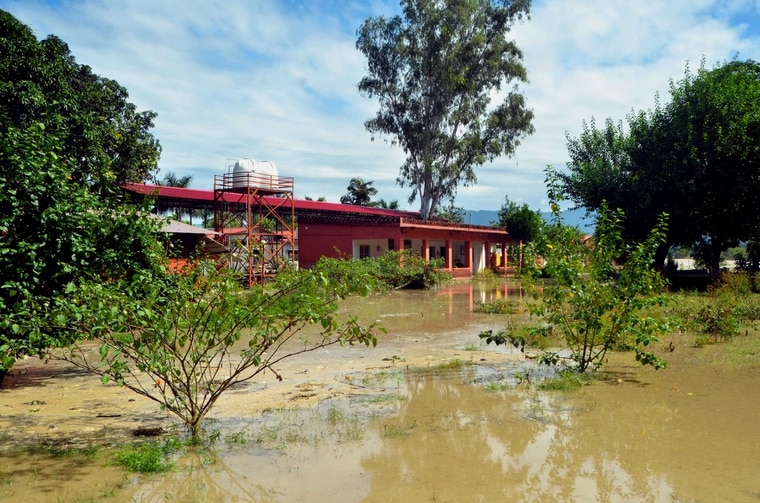 Galeri