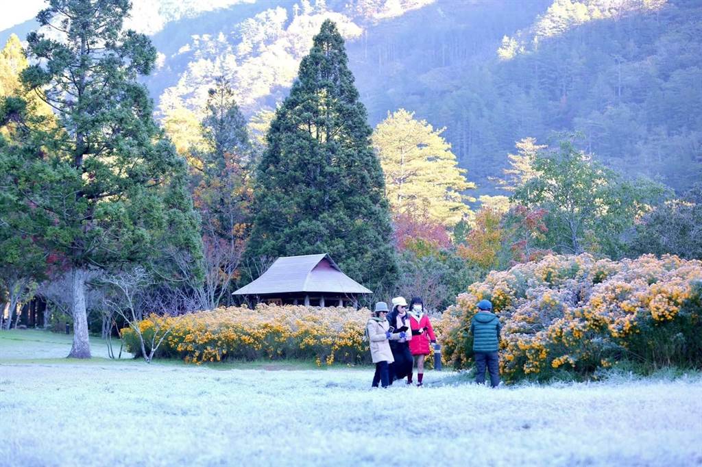 Wuling Farm