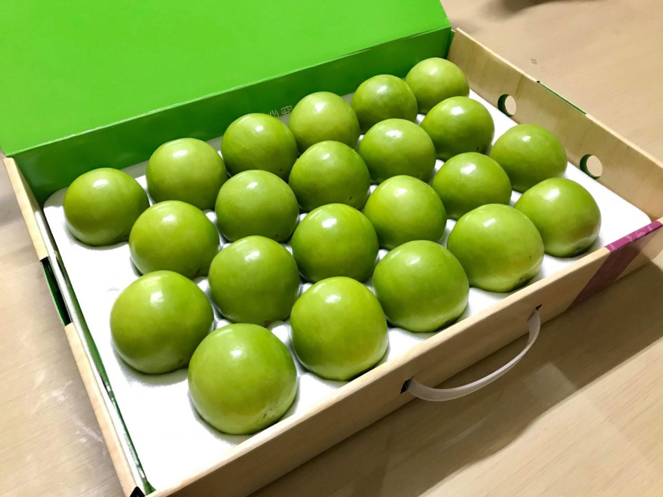 Buah Bidara