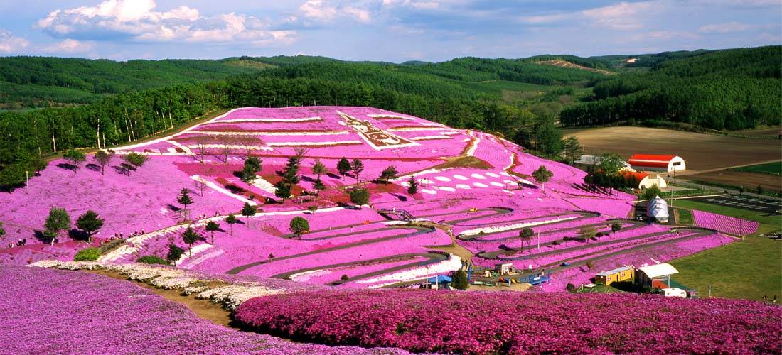 Jepang
