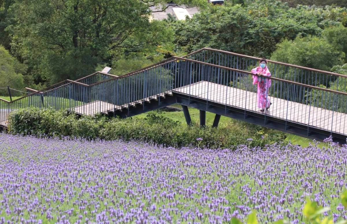 “2022 Shan Tseng Chi Flower Festival”