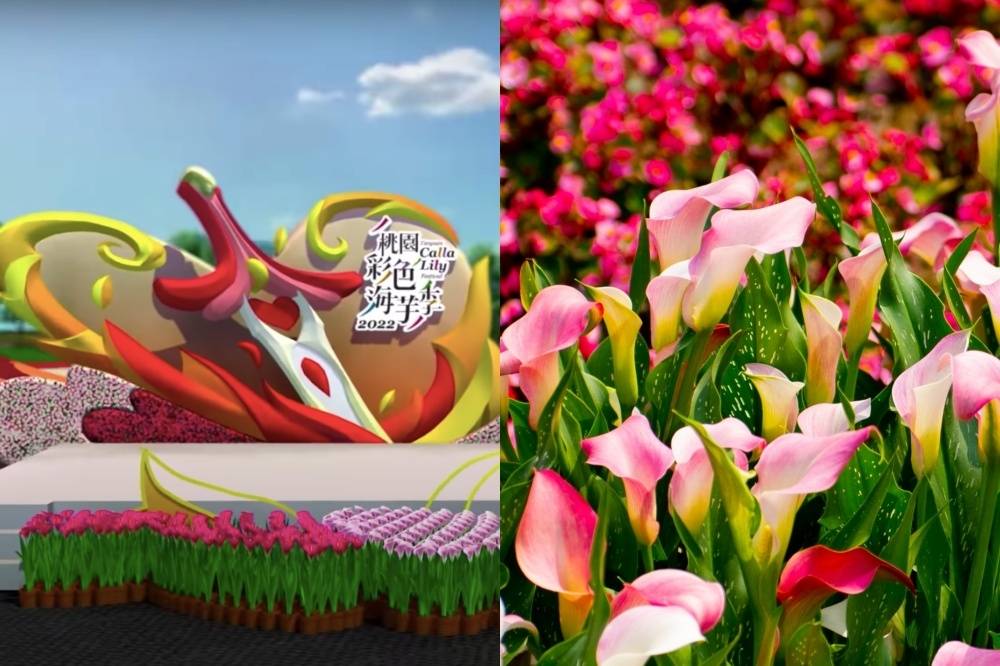Bunga Calla Lily