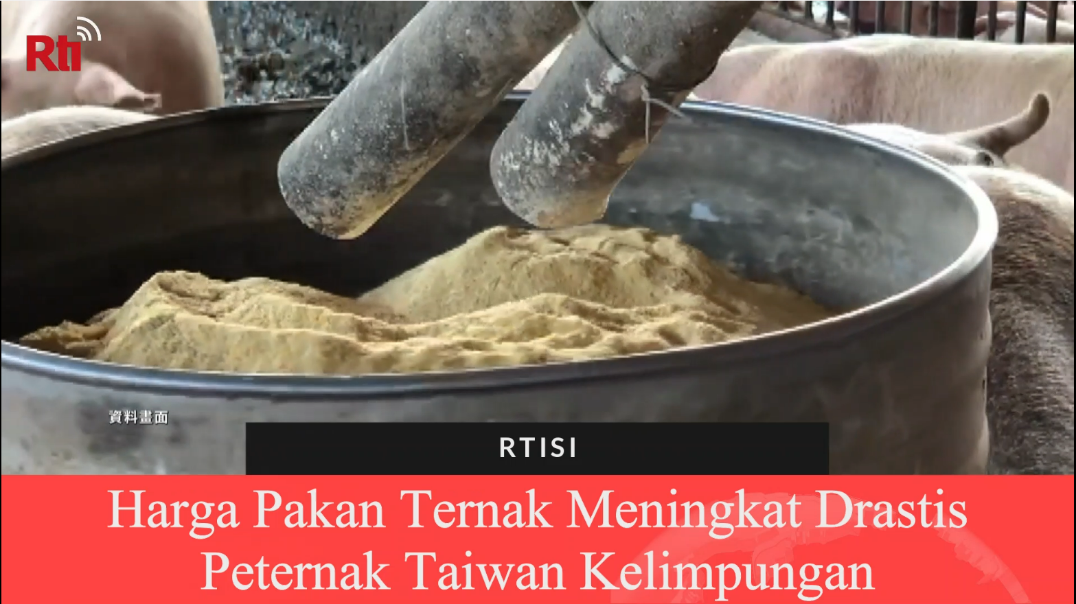 Harga Pakan Ternak Meningkat Drastis, Peternak Taiwan Kelimpungan