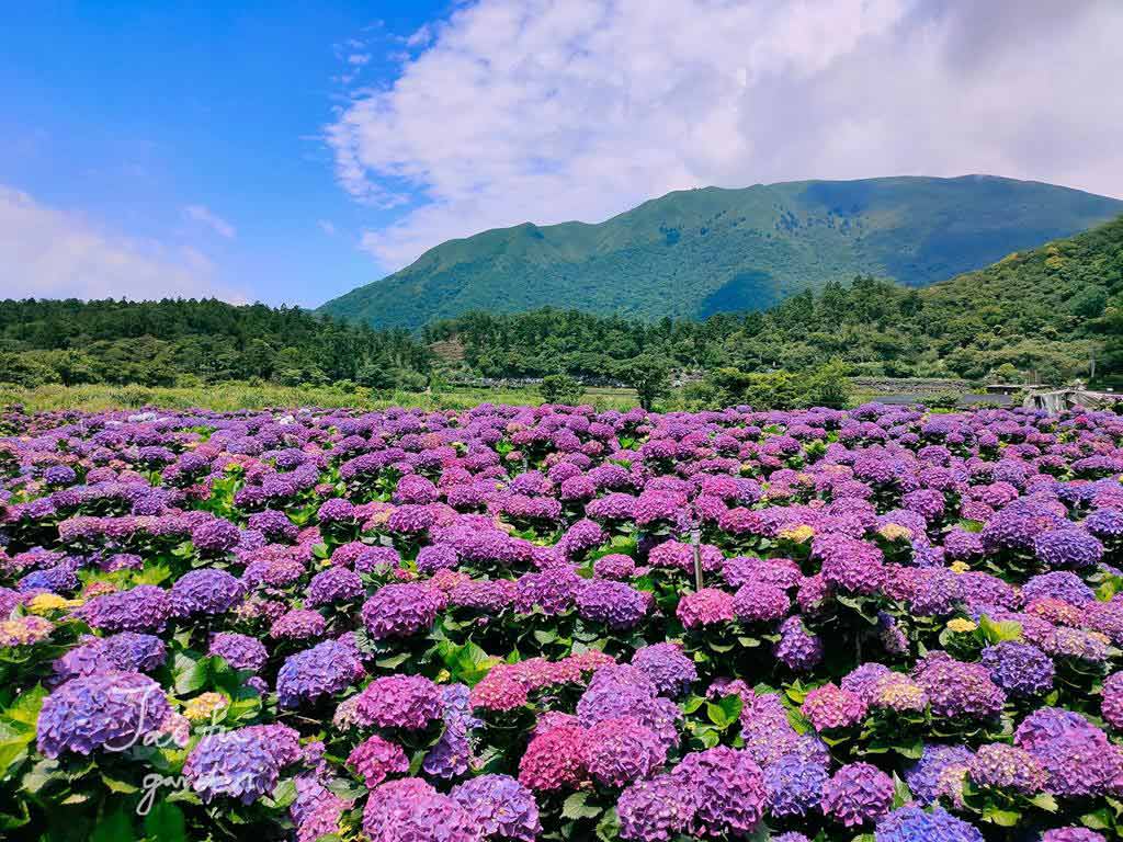 Yangmingshan