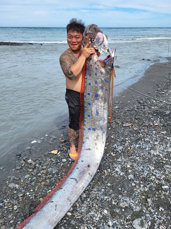 Ikan