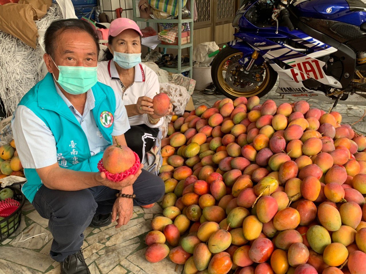 Mangga Tainan