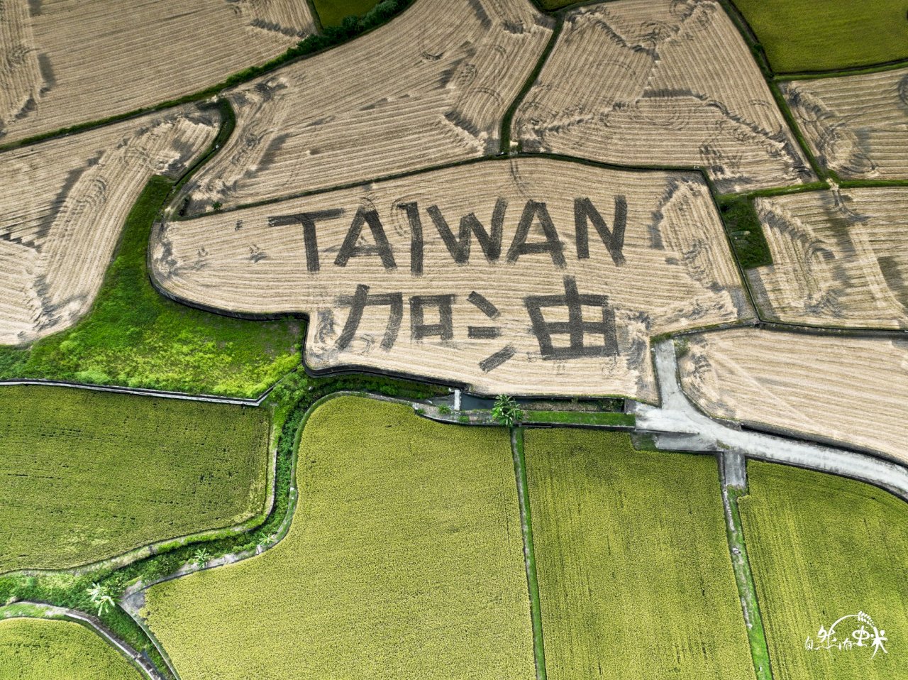 TAIWAN