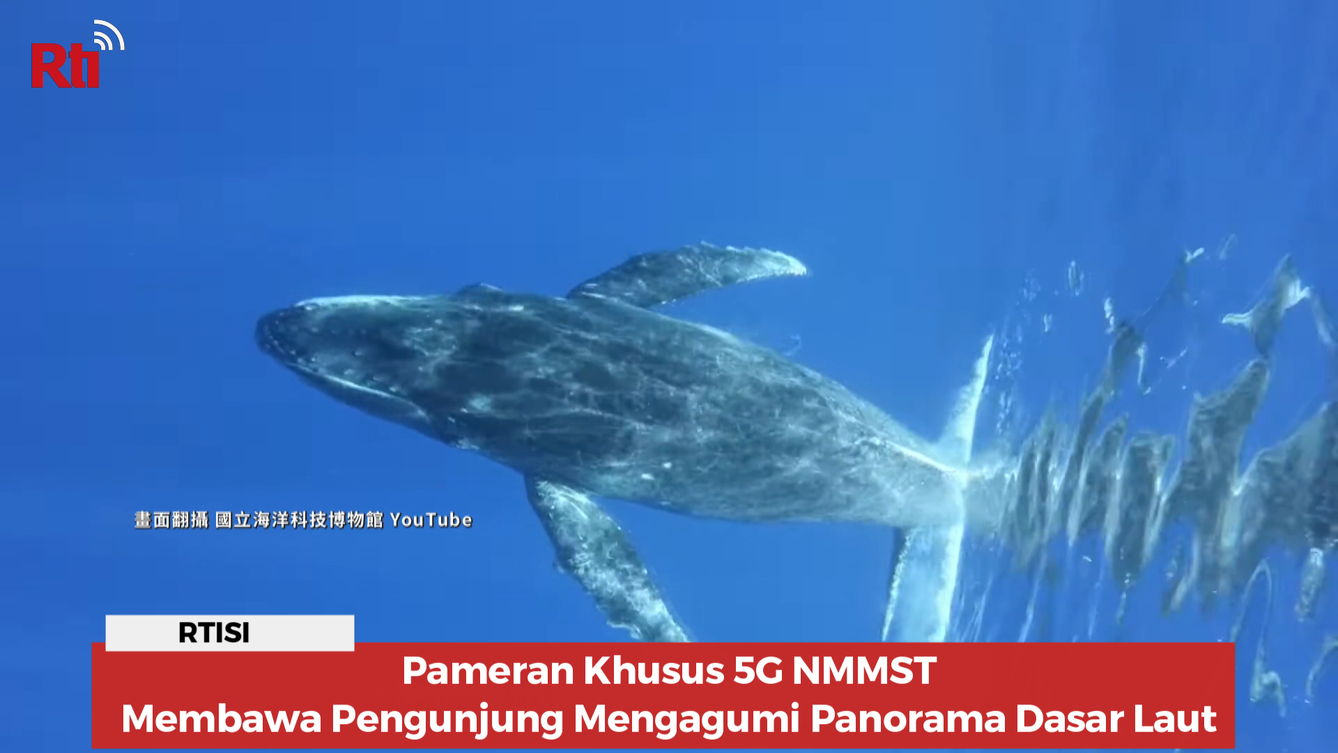 Pameran Khusus 5G NMMST, Membawa Pengunjung Mengagumi Panorama Dasar Laut