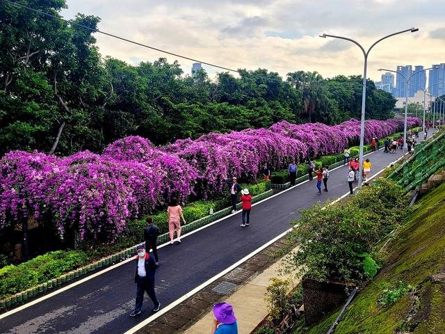 Taishan
