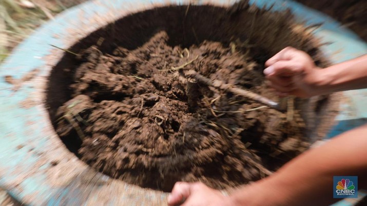 Menambang Uang Kripto dengan Menggunakan Kotoran Sapi