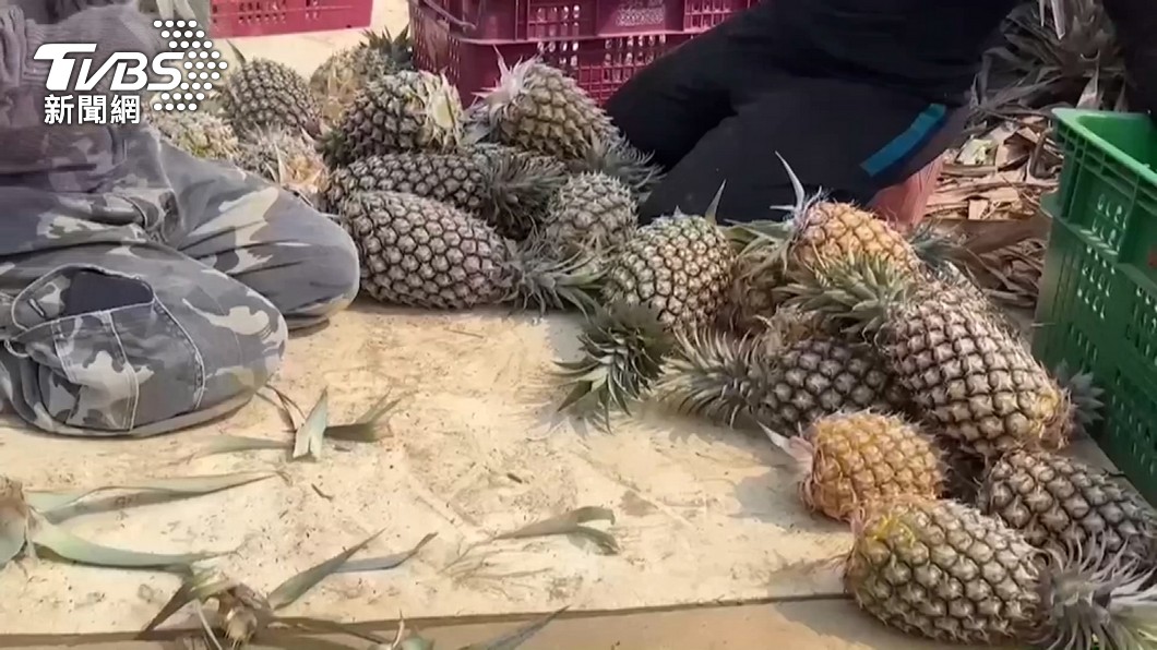 (Taiwan Hari Ini, 4/4) - Musim Buah Nanas