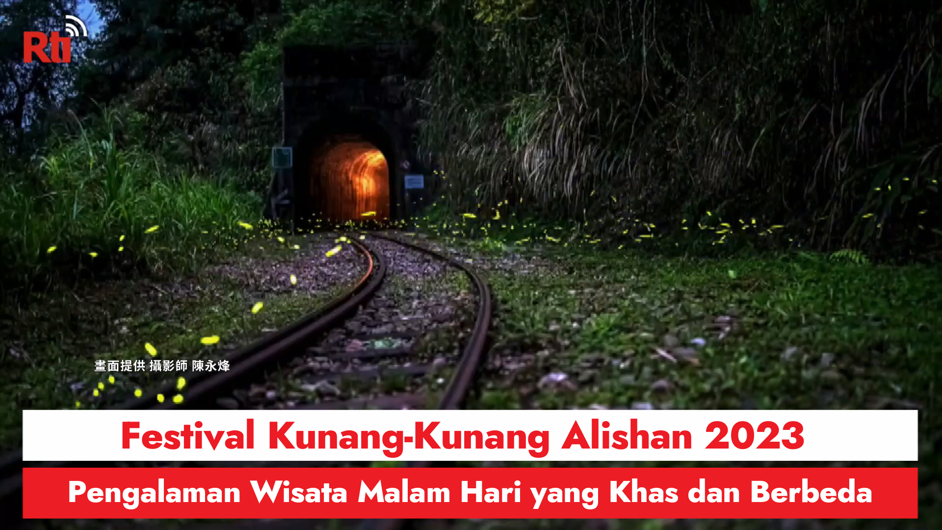 Festival Kunang-Kunang Alishan 2023, Pengalaman Wisata Malam Hari yang Khas dan Berbeda