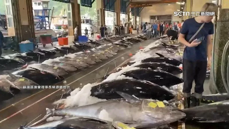 Ratusan Ikan Tuna Dengan Berat Melebihi 150 KG Berhasil Ditangkap Nelayan Nanfangao