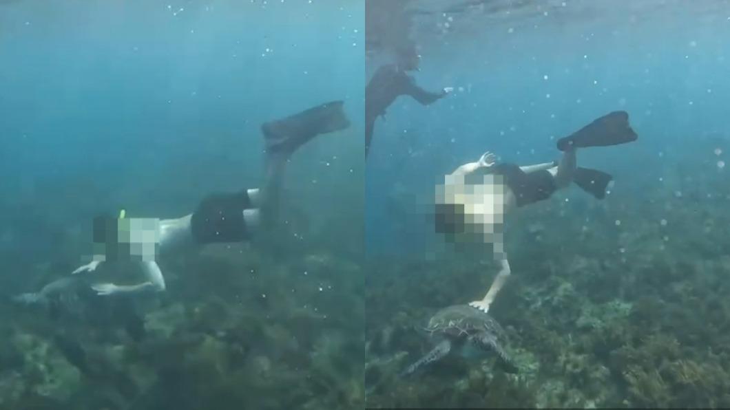 Ngeyel! Meski Dendanya Selangit, Penyelam ini Masih Tetap Meraba Penyu