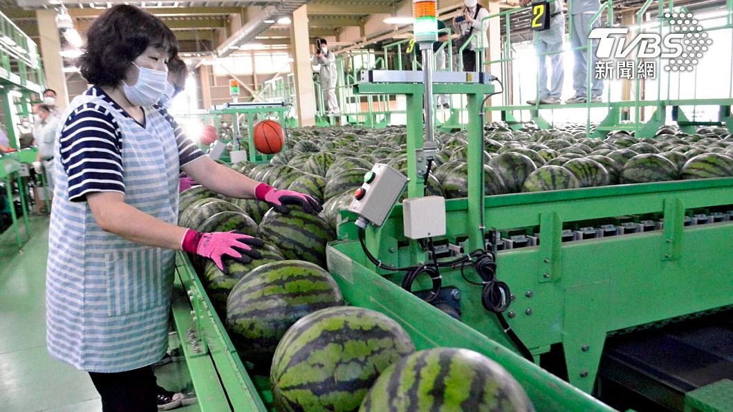 Termahal Dalam Sejarah! Buah ini Dihargai NT$ 30.000/Buah