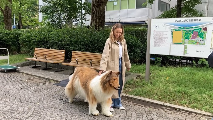 Pria Jepang Penuhi Fantasinya Menjadi Binatang dengan Berkostum Anjing