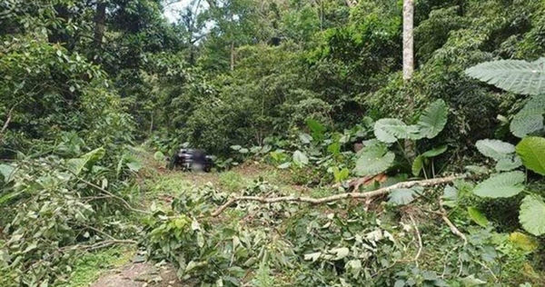 Kisah di Balik Tragedi Sekeluarga Tewas Bunuh Diri dalam Mobil di Miaoli