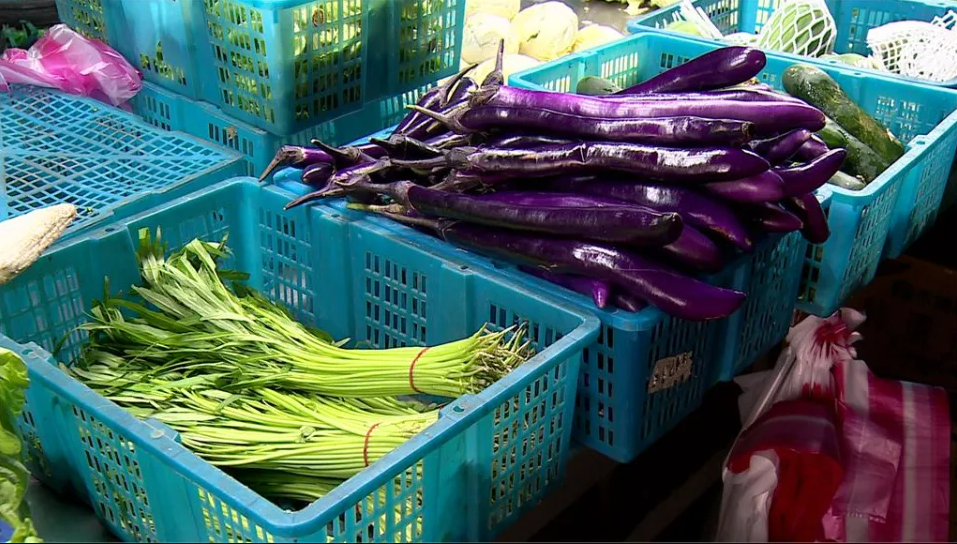 Dampak Taifun Khanun, Harga Sayur Mayur Taiwan Melonjak Drastis