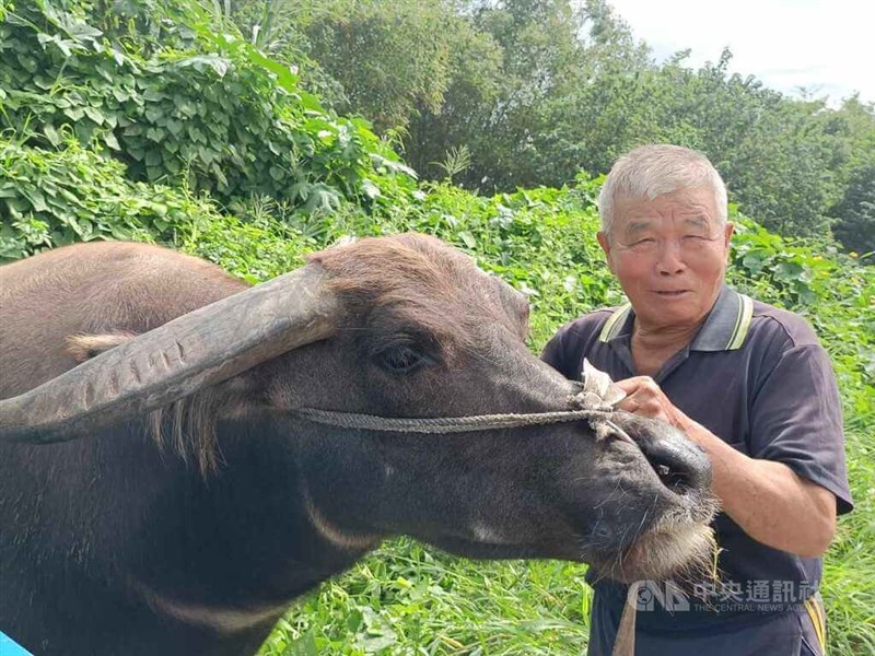 Kisah Petani Yunlin 