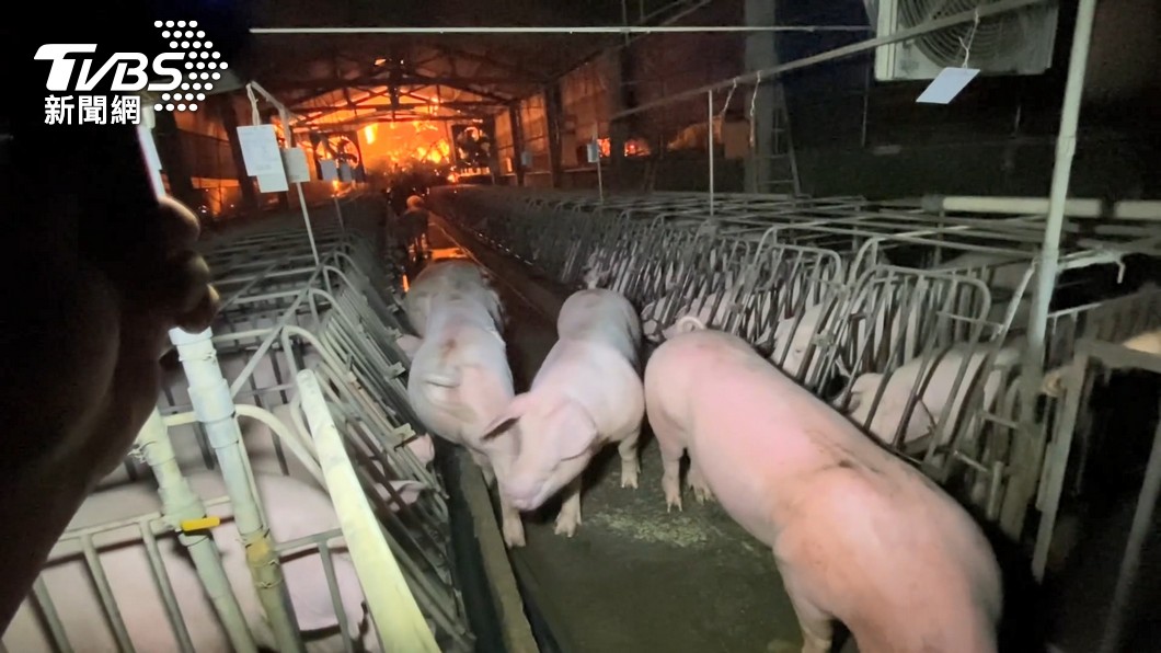 Pabrik Sofa Changhua Kebakaran, 10 Babi Tewas Kepanasan