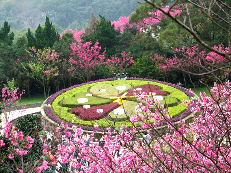 Jalan-jalan 210125: Wisata Bunga Taipei Bulan Januari!
