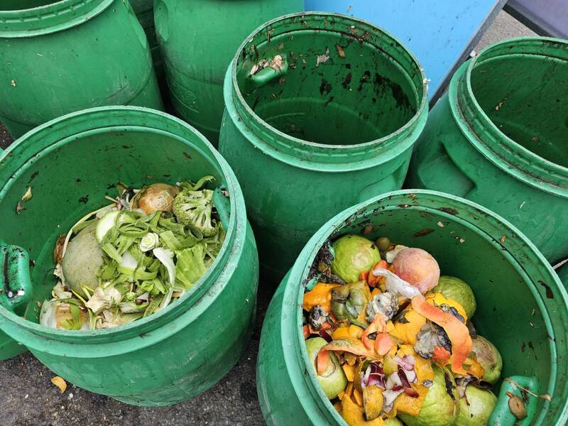 Makanan Terbuang, Tantangan dan Solusi untuk Masa Depan