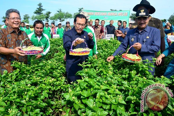 Mentan: Eksportir dan Petani Harus Sama-Sama Untung