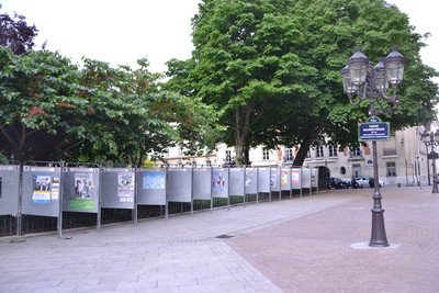Pemilu Parlemen Uni Eropa Digelar