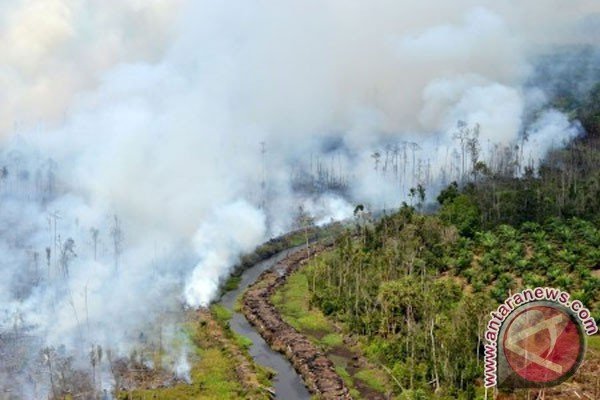 Satelit Modis deteksi 227 titik panas di Sumatera
