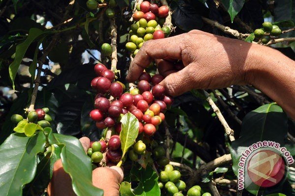Menperin Buka Seminar Dan Pameran Kopi Nusantara